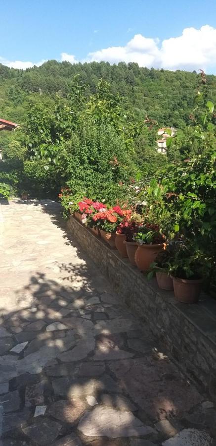 Το Σπίτι Της Ευτυχίας Στούντιο Διαμέρισμα Καρπενήσι Εξωτερικό φωτογραφία